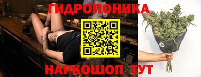 Альфа ПВП Брянск