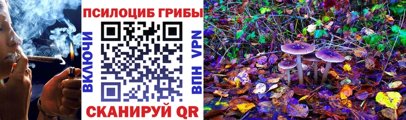 Галлюциногенные грибы мицелий  Заинск 